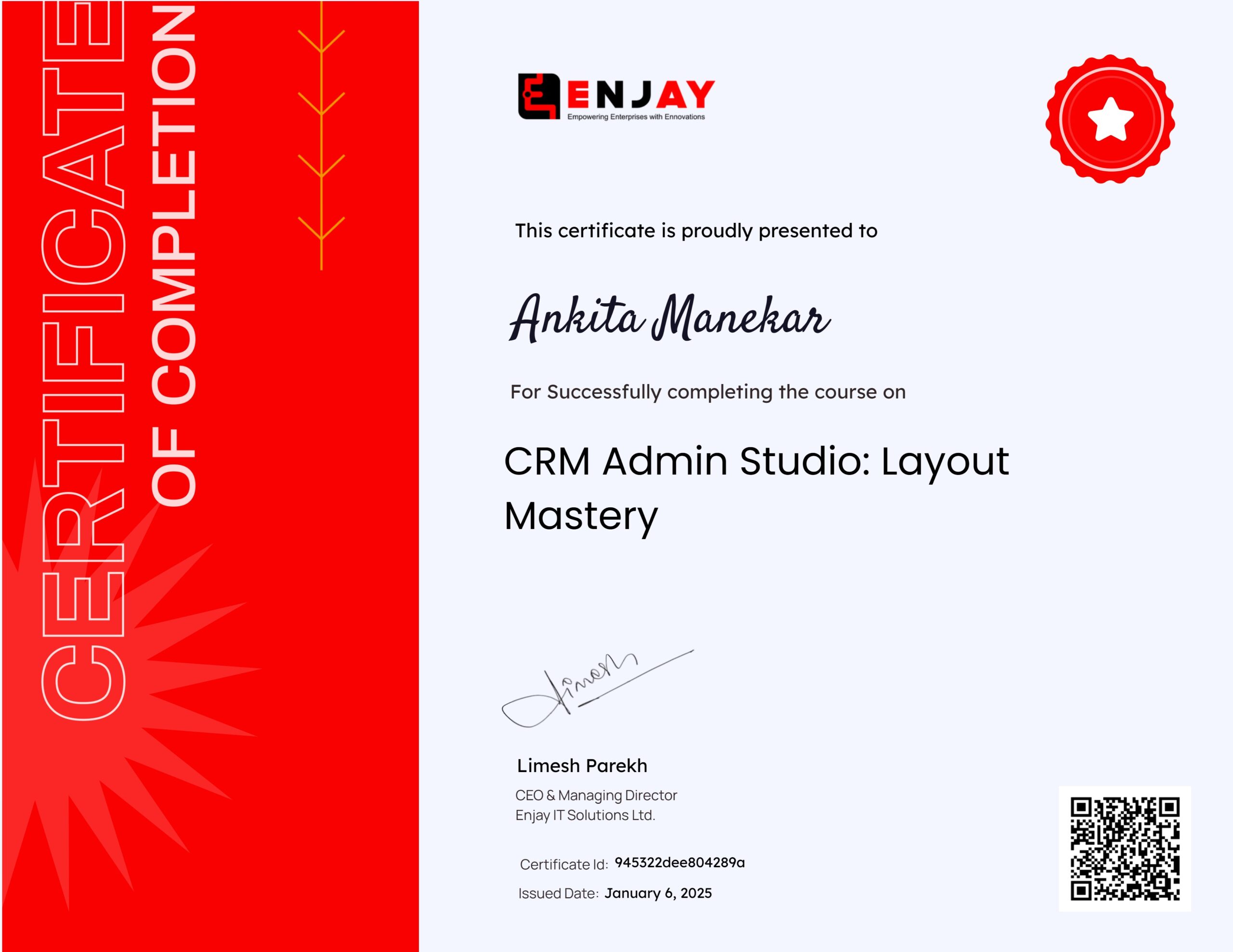 CRM Admin Studio Layout Mastery CRM Admin Studio Layout Mastery scaled